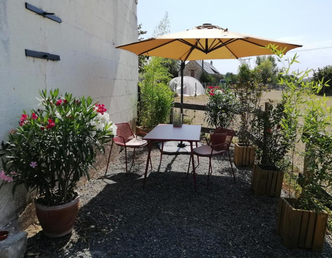 Bel Appt 3 Pieces, A L'Etage, Jardin Privatif, Au Calme, 10 Mn Saumur Et Cnpe Varennes-sur-Loire Bagian luar foto